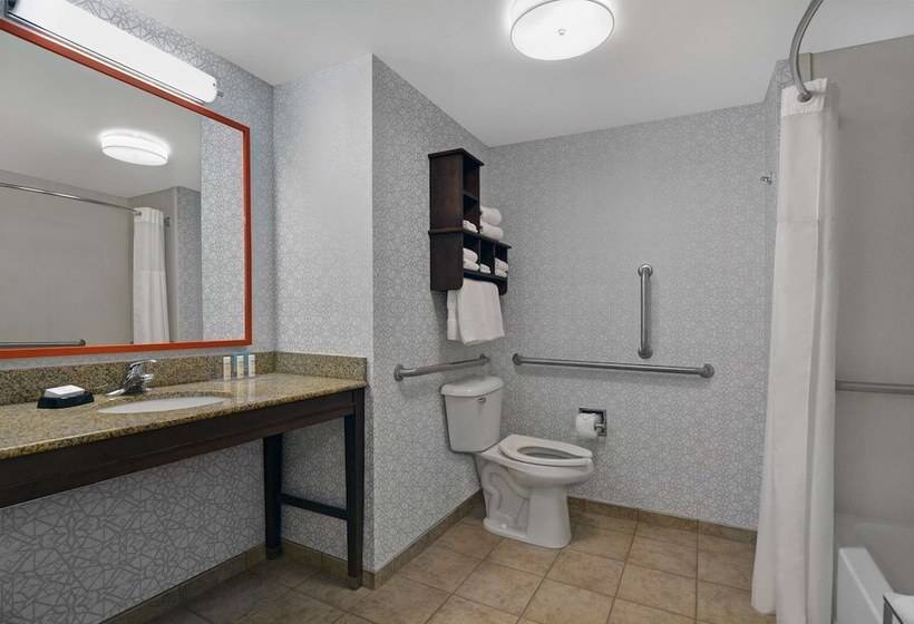 Standard Room Adapted for people with reduced mobility, Hampton Inn Bath