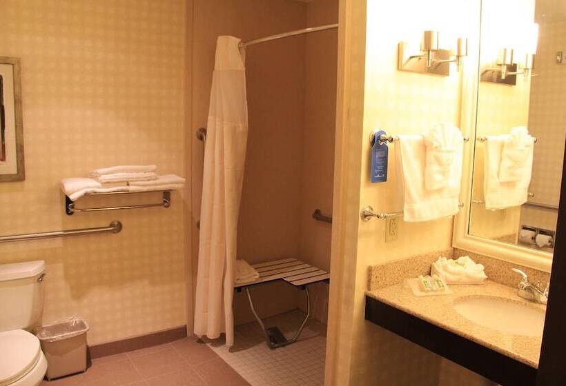 Habitación Estándar Adaptada para Discapacitados, Hilton Garden Inn Houston West Katy