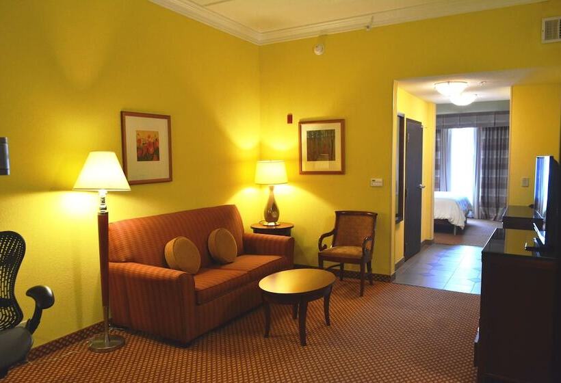 Standard Room Adapted for people with reduced mobility, Hilton Garden Inn Houston West Katy