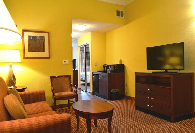 Standard Room Adapted for people with reduced mobility, Hilton Garden Inn Houston West Katy