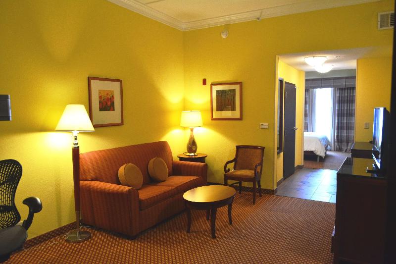 سوئیت با تخت بزرگ, Hilton Garden Inn Houston West Katy