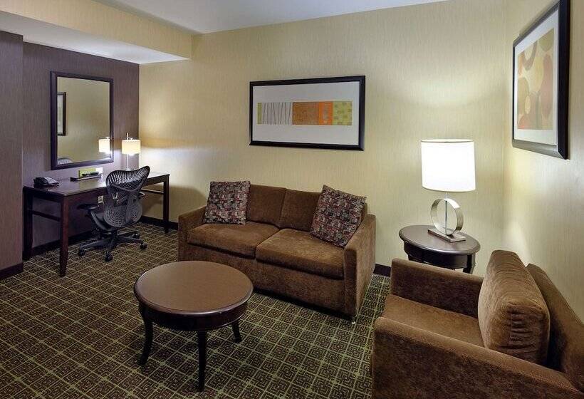 Suite Adapted for people with reduced mobility, Hilton Garden Inn Springfield, Mo