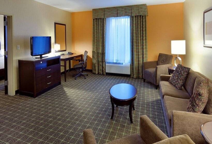 Suite Adapted for people with reduced mobility, Hilton Garden Inn Springfield, Mo