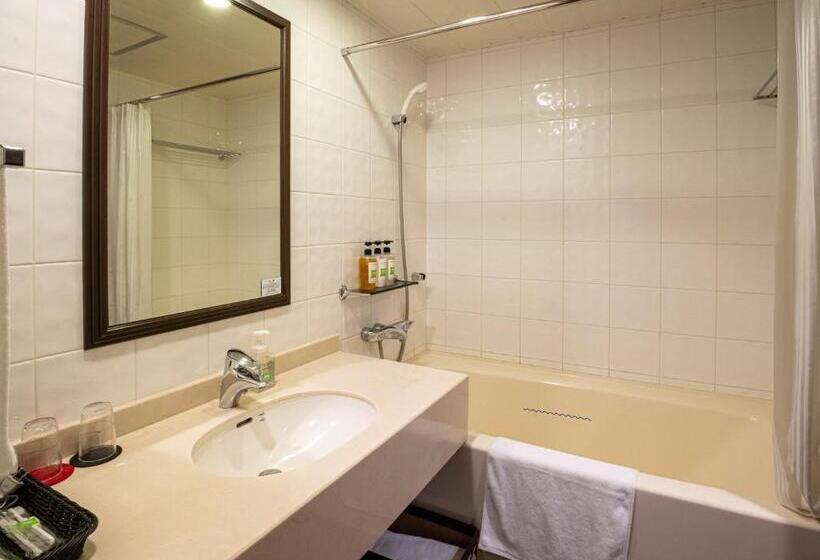 高级大房间, Ibis Styles Sapporo