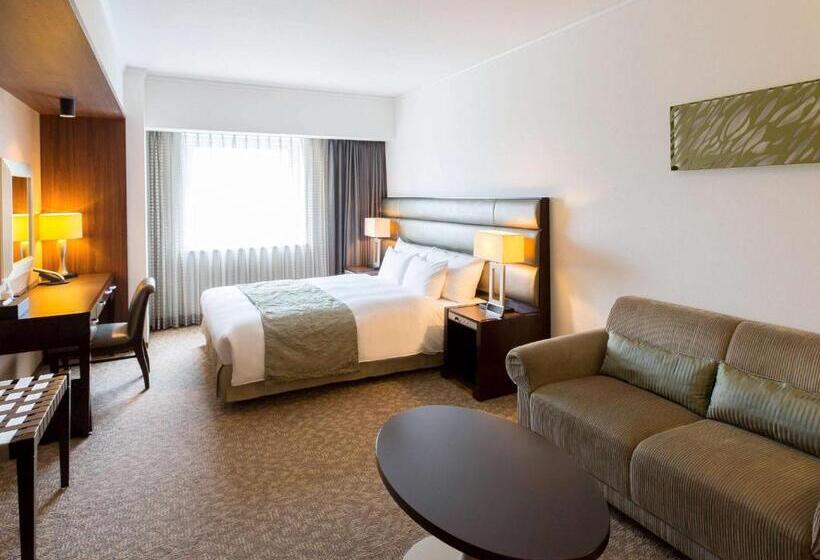 高级大房间, Ibis Styles Sapporo