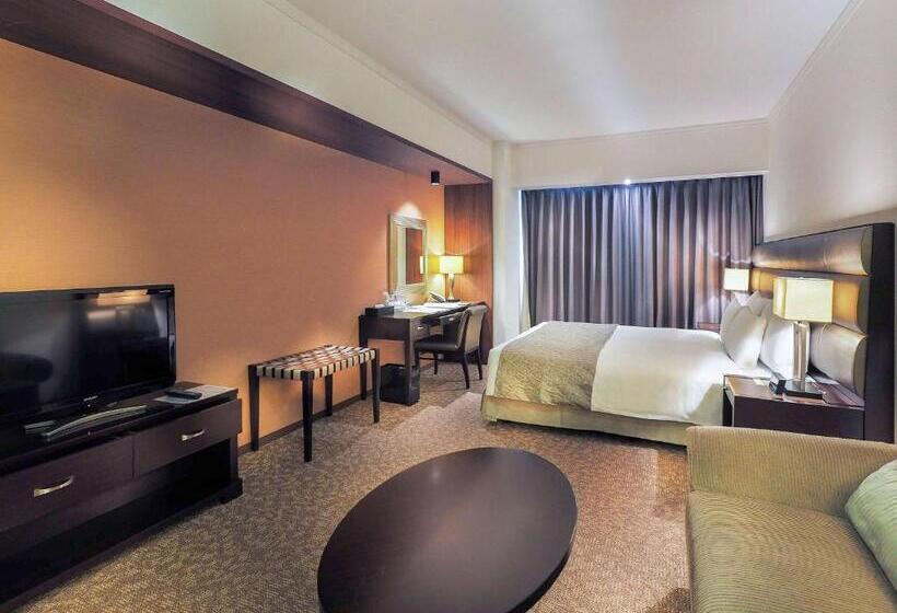 اتاق لوکس با تخت بزرگ, Ibis Styles Sapporo