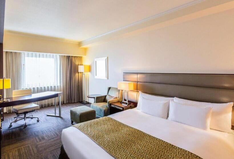 带大床的豪华间, Ibis Styles Sapporo