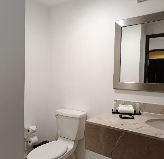 سوئیت پرزیدنت, La Quinta By Wyndham Puebla Palmas Angelopolis