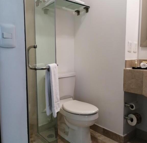اتاق استاندارد با تخت بزرگ, La Quinta By Wyndham Puebla Palmas Angelopolis