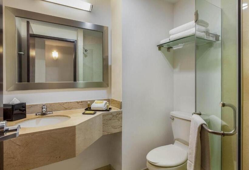 اتاق خانوادگی, La Quinta By Wyndham Puebla Palmas Angelopolis