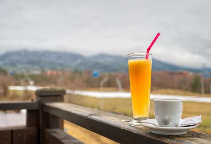 آپارتمان 1 خوابه, Mpm Hotel Sport Ski In, Ski Out