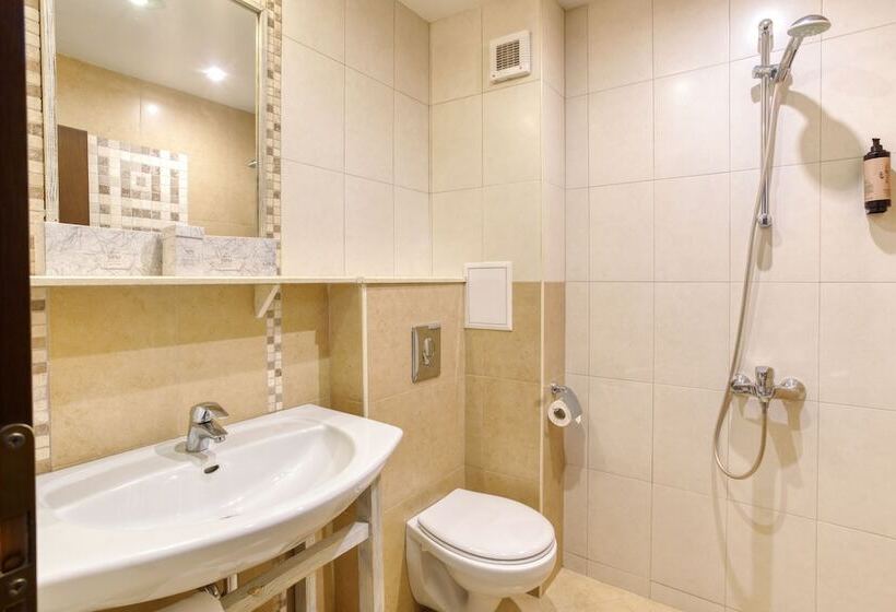 آپارتمان 1 خوابه, Mpm Hotel Sport Ski In, Ski Out
