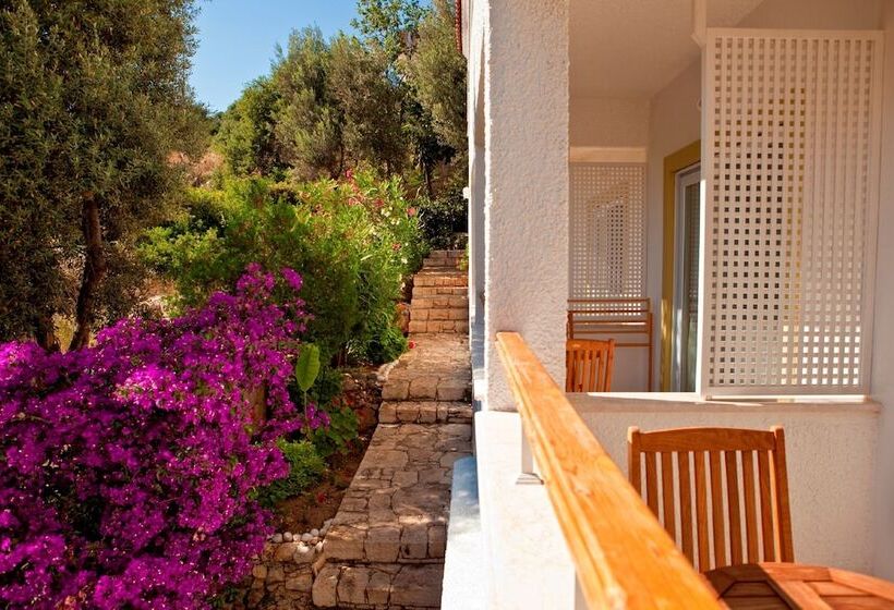 اتاق استاندارد, Olea Nova
