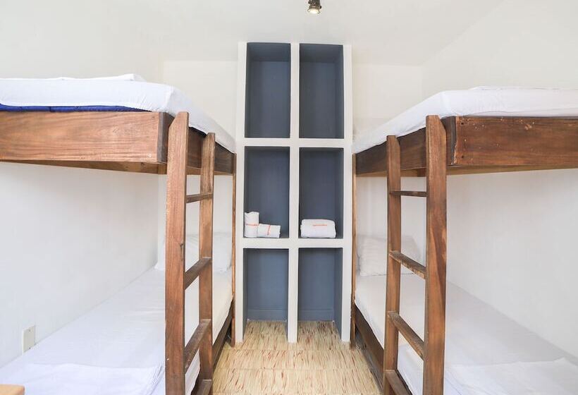 تختخواب در اتاق مشترک, Base Camp México