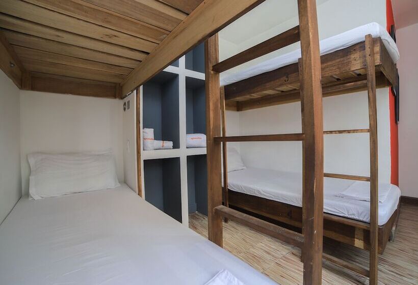 تختخواب در اتاق مشترک, Base Camp México