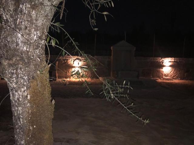 کلبه ییلاقی, Solar Da Serra Guesthouse