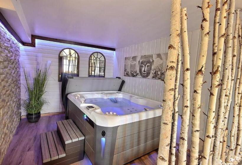 اتاق استاندارد با وان آب گرم, Spa Et Romance à Molliebon