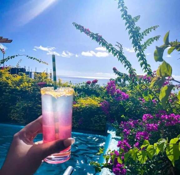 آپارتمان 1 خوابه با چشم‌انداز دریا, Villa Paradise Rodrigues