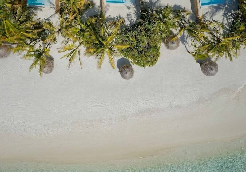 ویلای یک اتاق خوابه با استخر شنا, Anantara Dhigu Maldives Resort   Complimentary Round Trip Transportation For Minimum Stay Of 3 Night