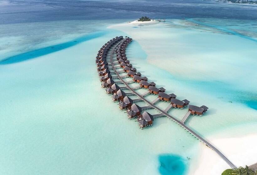 سوییت با استخر, Anantara Dhigu Maldives Resort