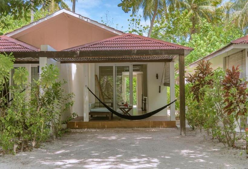 ویلای 1 خوابه با باغ, Holiday Inn Resort Kandooma Maldives   Kids Stay & Eat Free And Dive Free For Certified Divers For A