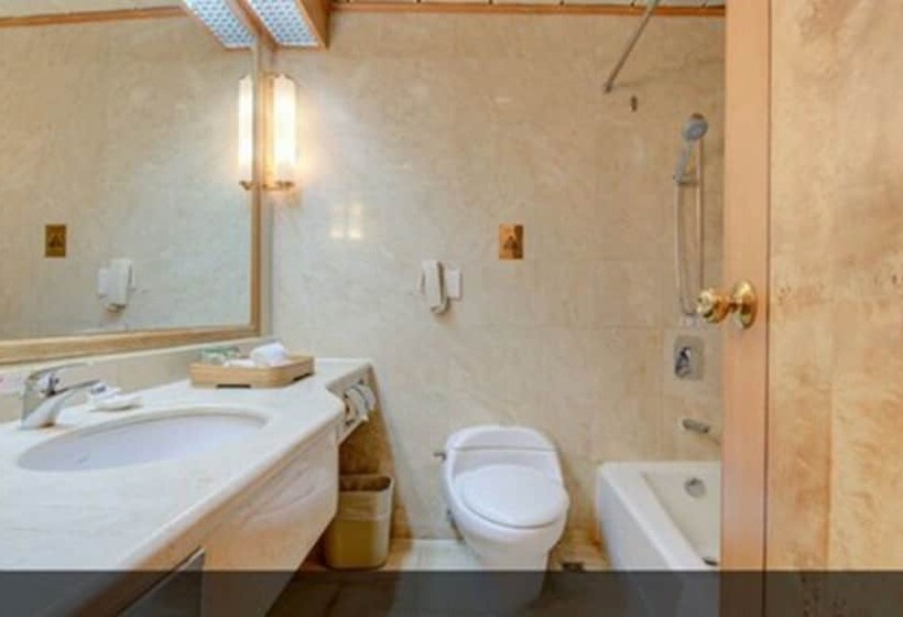 اتاق استاندارد, Zhuhai Dehan