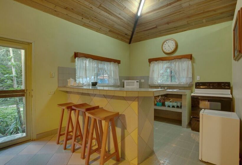 اتاق استاندارد, Midas Belize