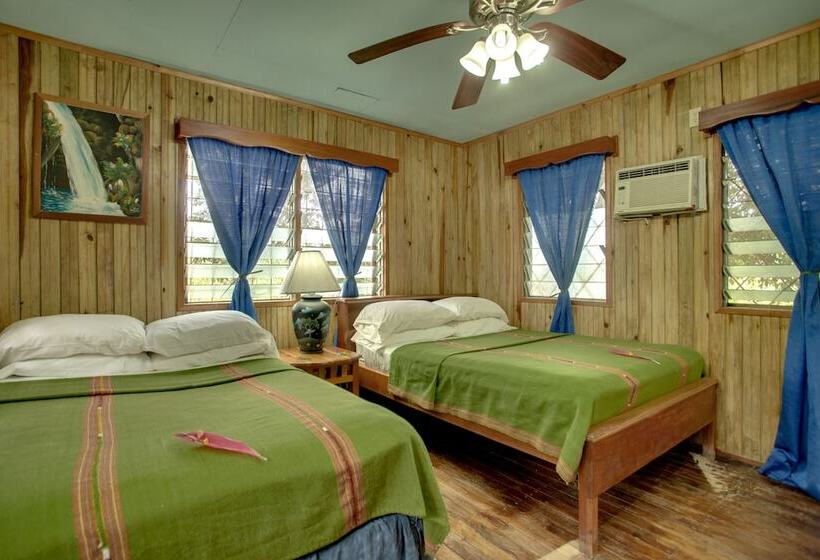 Standard Room, Midas Belize