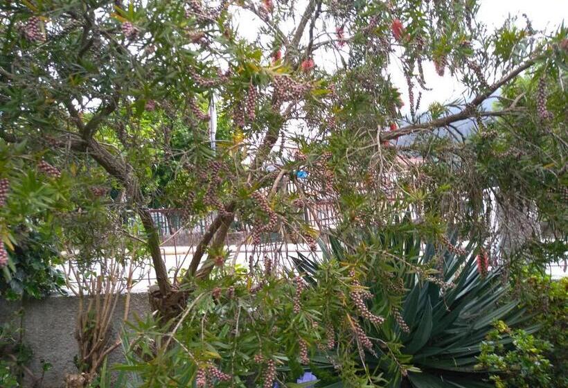 خانه 4 خوابه, Casa Da Piedade, Vouzela