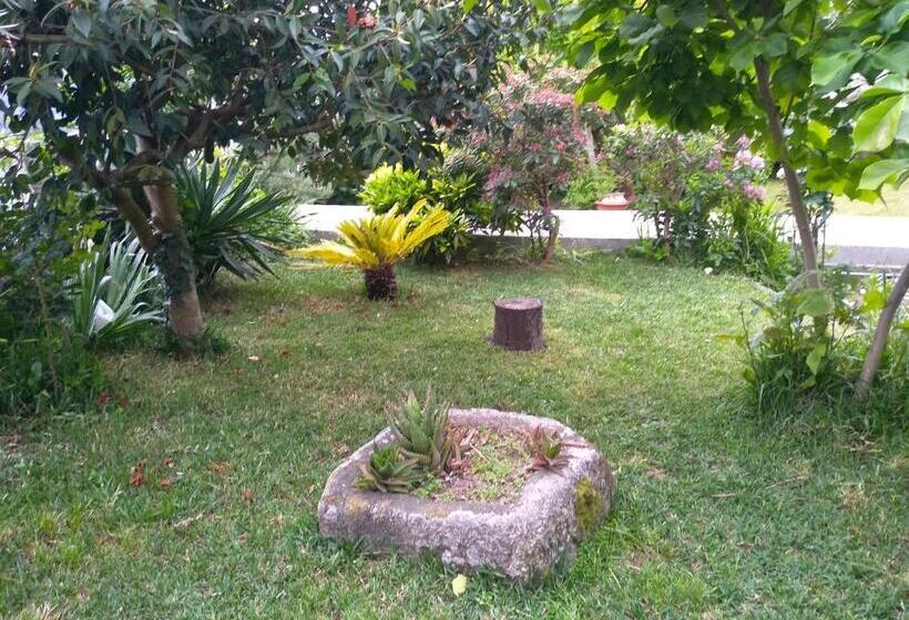 خانه 4 خوابه, Casa Da Piedade, Vouzela