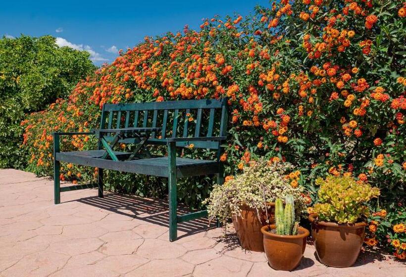 اتاق لوکس, Finca El Limonar