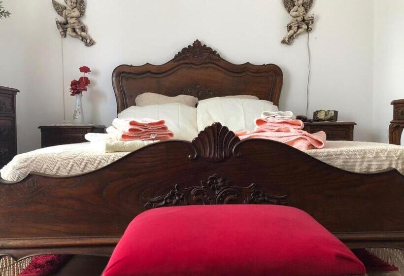 اتاق سوپریور, My Mother`s House