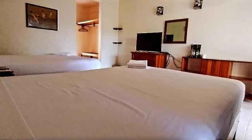 اتاق استاندارد با تراس, Villas Ema