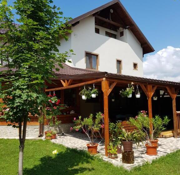 اتاق استاندارد, Casa De Vacanta Macovei0744