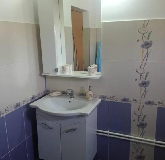 اتاق استاندارد, Casa De Vacanta Macovei0744