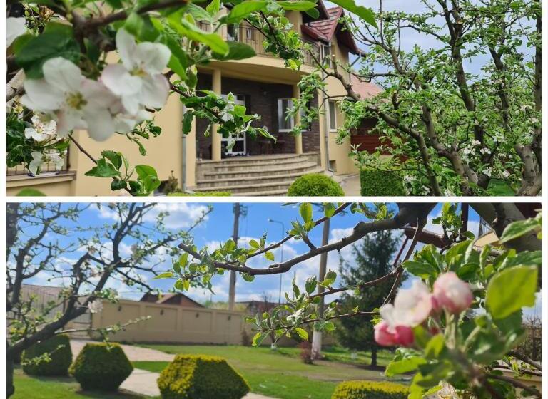 ویلای لوکس 1 خوابه, Orchard Villa