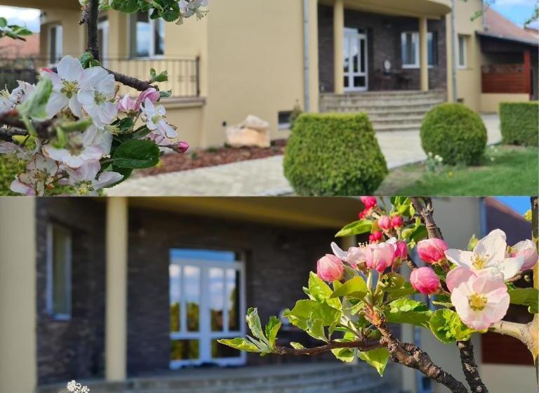 ویلای لوکس 1 خوابه, Orchard Villa