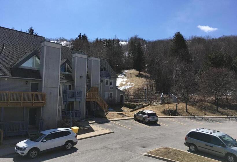 آپارتمان 1 خوابه, Blue Mountain Studio Loft At North Creek Resort