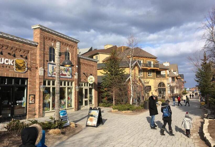 آپارتمان 1 خوابه, Blue Mountain Studio Loft At North Creek Resort