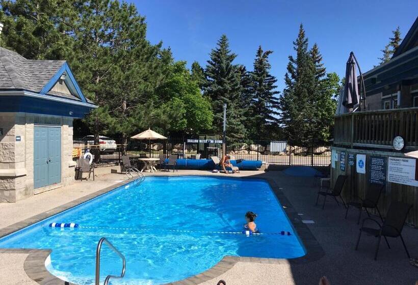 آپارتمان 1 خوابه, Blue Mountain Studio Loft At North Creek Resort