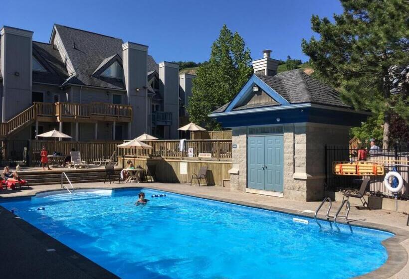 آپارتمان 1 خوابه, Blue Mountain Studio Loft At North Creek Resort