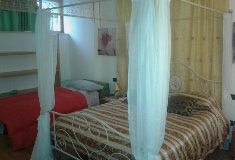 اتاق اکونومی یک تخته, B&b Grigra