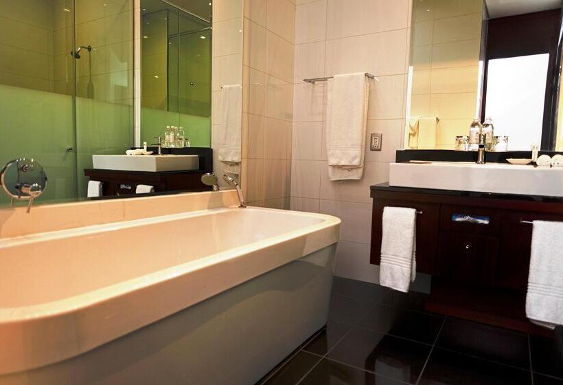 اتاق اجرایی با تخت بزرگ, Davinci Hotel On Nelson Mandela Square