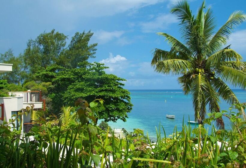 سوییت جونیور, Le Cardinal Exclusive Resort