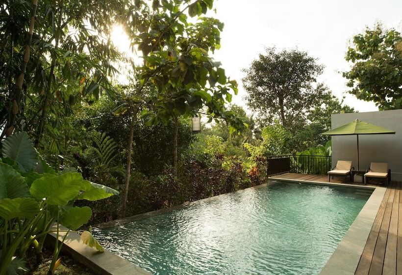 ویلای یک اتاق خوابه با استخر شنا, Plataran Borobudur