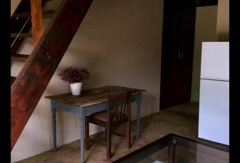 اتاق اکونومی, Inyameko Bnb