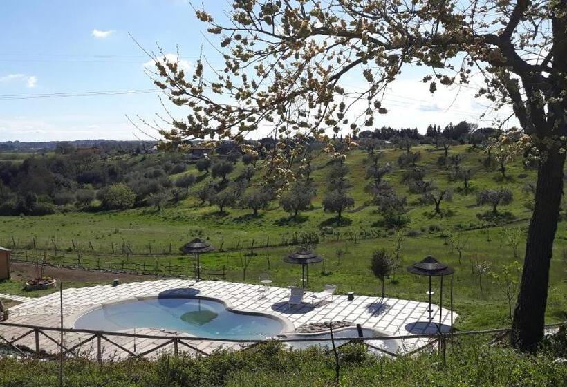 خانه 1 خوابه, Angolo Di Paradiso