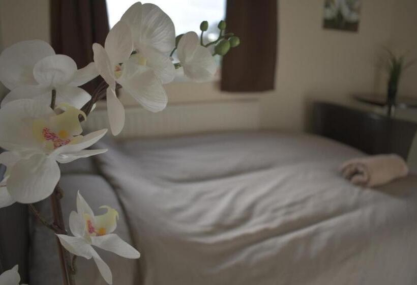 اتاق استاندارد, Home And A Stay