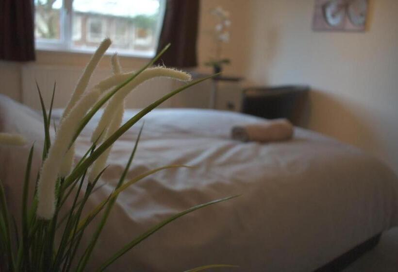 اتاق استاندارد, Home And A Stay