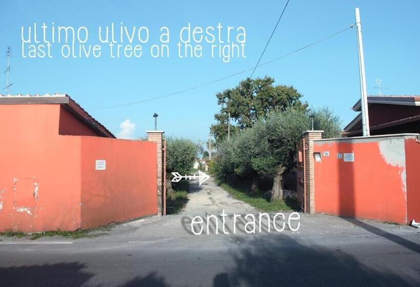 اتاق استاندارد, La Quercia